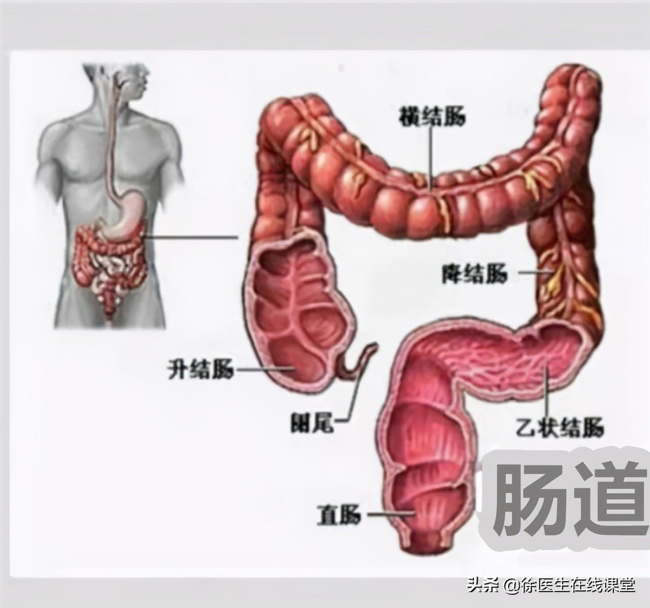 新澳门内部一码精准公开，详细解答、构建解答解释落实