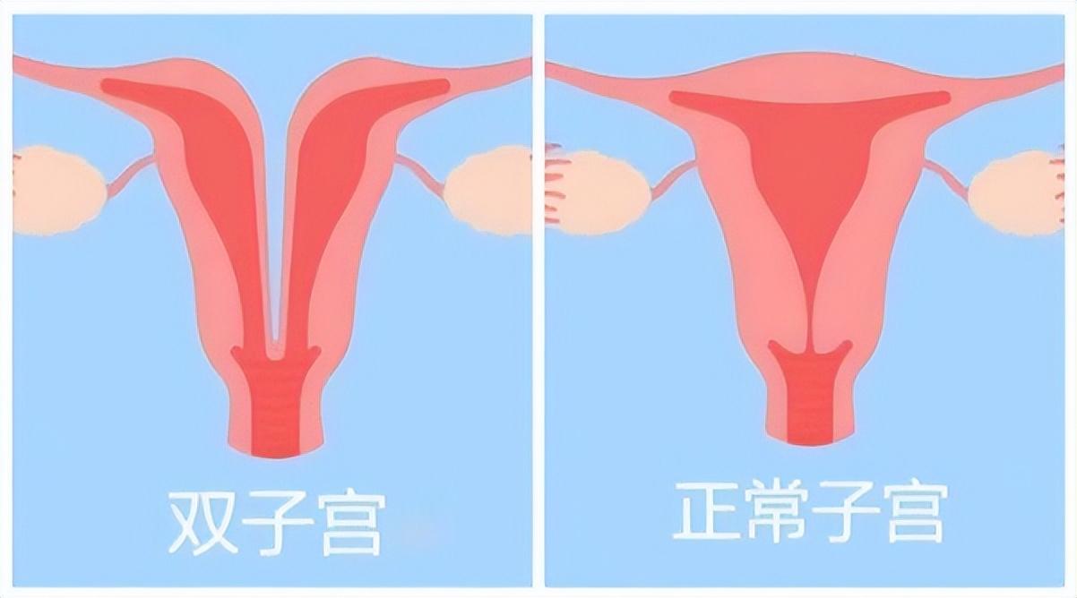 澳门一码一肖一特一中是合法的吗，详细解答、精准解答解释落实