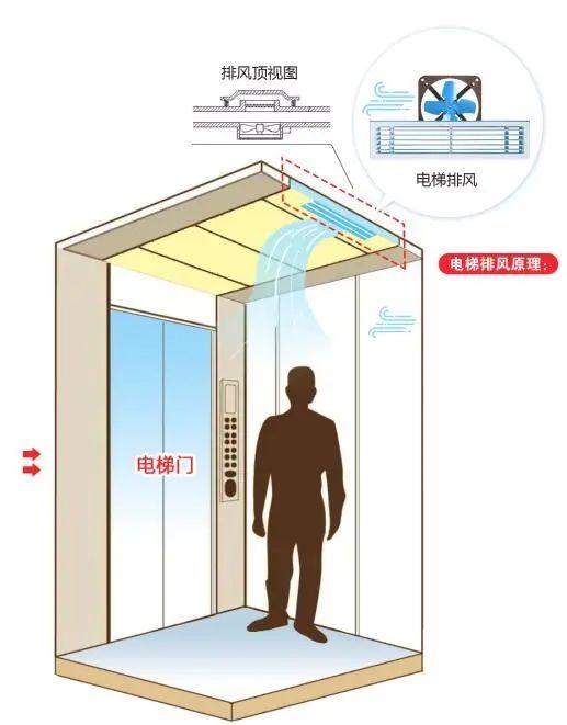 新澳门内部一码精准公开，详细解答、构建解答解释落实
